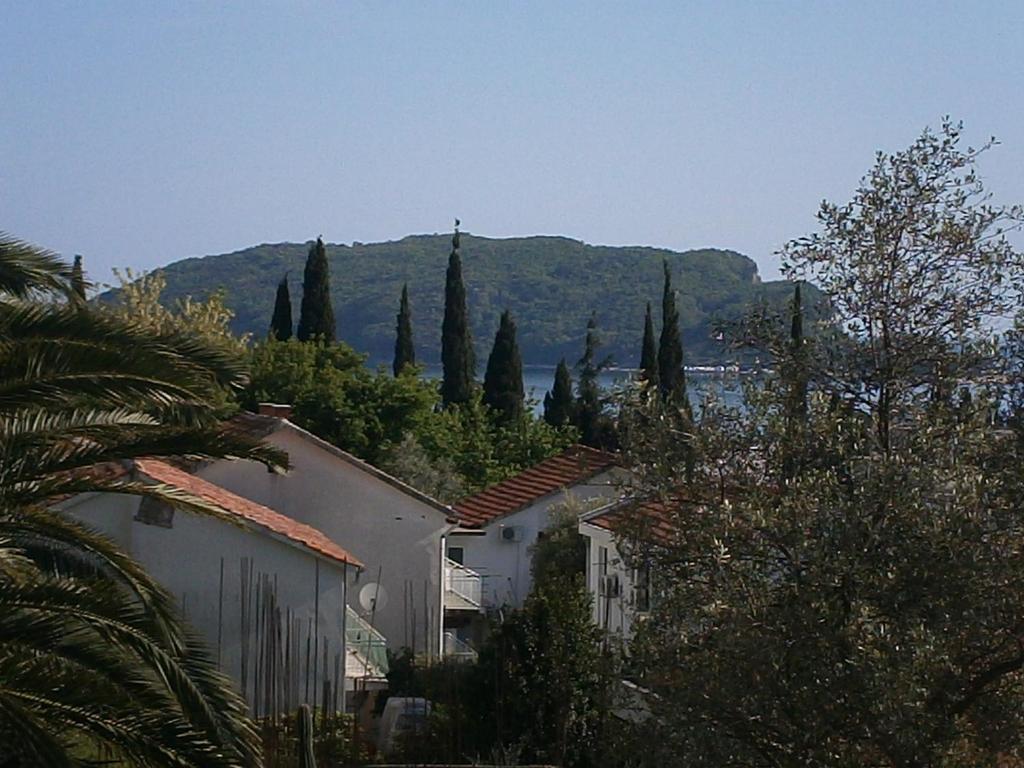 Mijovic Apartments Budva Kamer foto